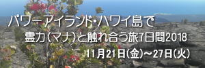 ハワイ島ツアー2018
