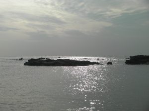 三浦海岸